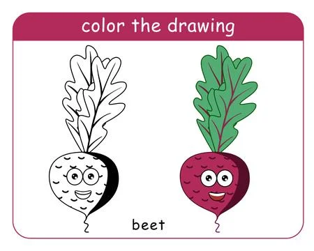 Coloring book for children. Beetroot character in color and black and white. Stock Illustration