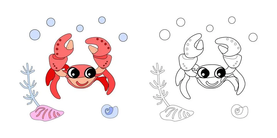 Coloring book Crab with shells, bubbles and algae in the ocean. For posters.. Stock Illustration