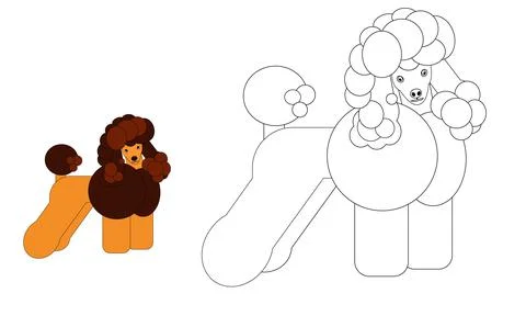 Coloring book dog poodle with an example of how to color for children Stock Illustration
