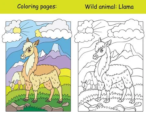 Coloring book page and color template llama Stock Illustration