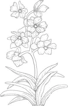 Coloring book page Stock Illustration