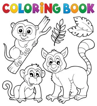 Coloring book primates and monkey Stock Illustration