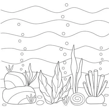 Coloring book the seabed with algae and rocks. Black outline sketch for kids. Stock Illustration