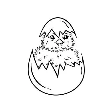Coloring book with a small chicken in an eggshell Stock Illustration