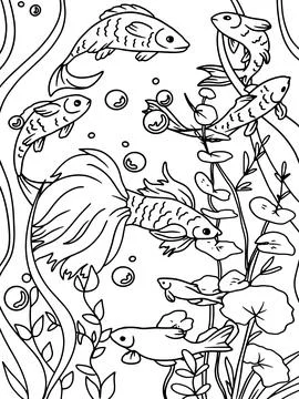 Coloring book, white background, black lines. Aquarium, seabed. Water world and Stock Illustration