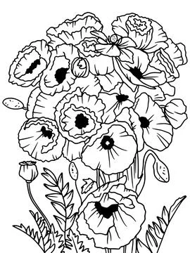 Coloring book, white background, black lines. Bouquet of flowers, poppies. Stock Illustration