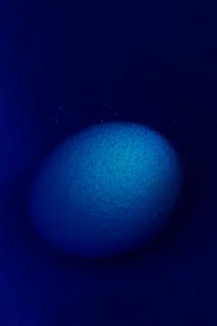 Coloring an easter egg blue in blue water Stock Photos