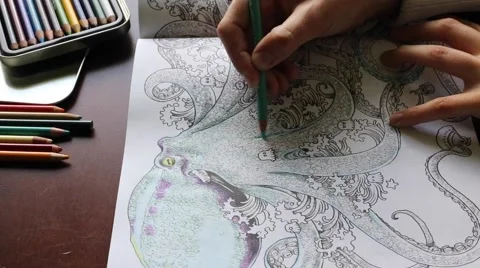 Coloring a an octopus drawing Stock Footage 64936117