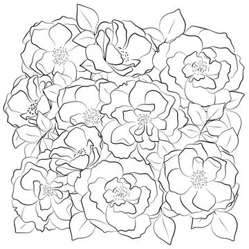 Coloring page with bouquet of roses. Full frame is filled with flowers. Black Illustrazione stock