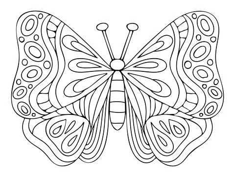 Coloring page butterfly. Wings with patterns. Cute insect. Coloring book for  Stock Illustration
