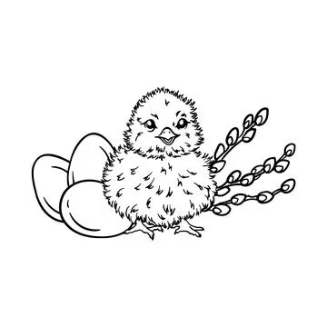 Coloring page chicken, Easter eggs, pussy willow Stock Illustration