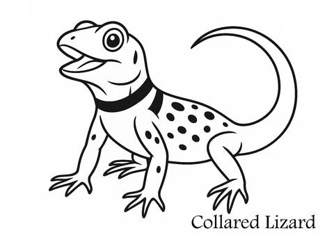 Coloring Page Collared Lizard – Printable Reptile Art Illustrazione stock