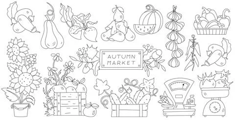 Coloring Page In Progress Stock Illustration
