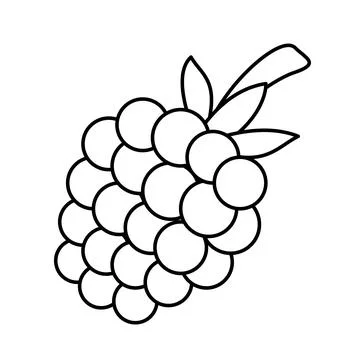 Coloring page. Raspberry. Black and white cartoon raspberry. Vector Stock Illustration