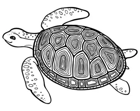 Coloring page turtle with decor Stock Illustration