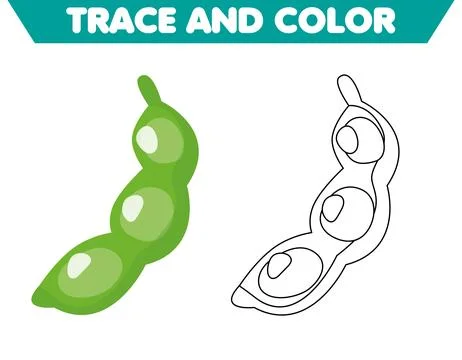 Coloring page vegetables for children, vector graphics, health for children.. Stock Illustration