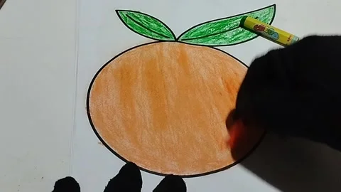 Coloring pictures of oranges Stock Footage 227418019