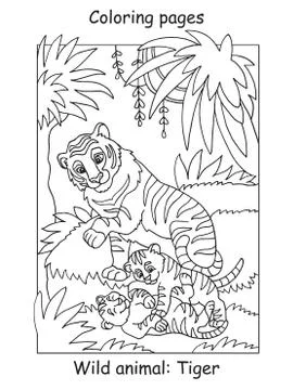 Coloring tiger vector Stock Illustration