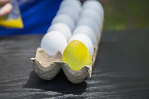 Coloring Yellow Easter Eggs Stock Photos