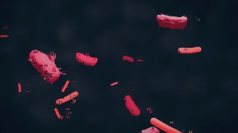 Colorized scanning micrograph of some bacillus and viruses Stock Footage 123894148