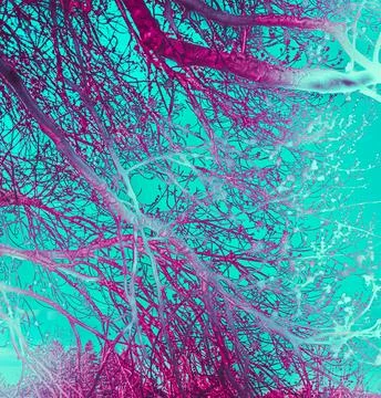 Colorized tangle of spring branches – pop art version Fotos Stock
