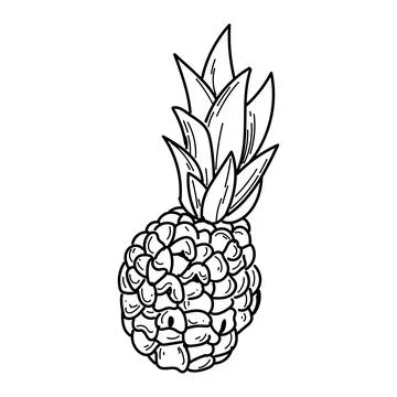 Colorless pineapple design Stock Illustration
