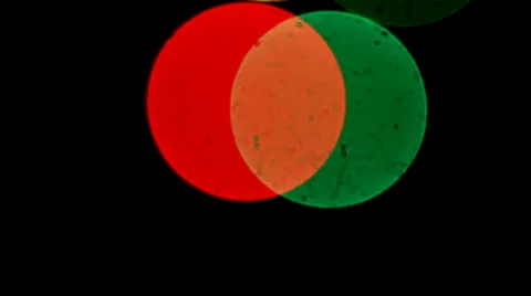 Colors 3 Stock Footage 34506562