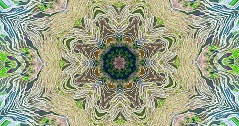 The colors and pattern of spring Stock Footage 86640653