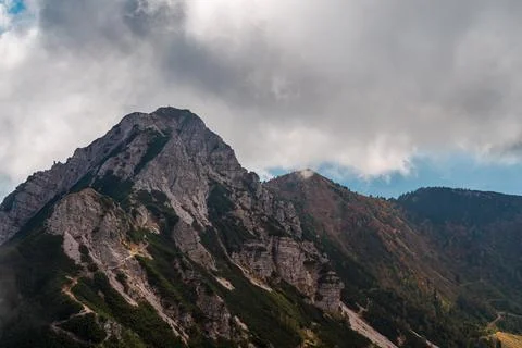 Colors are exploding in the woods of Carnic Alps Stock Photos