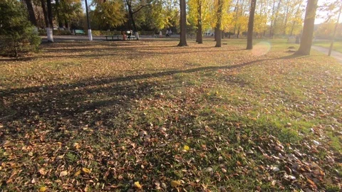 Colors of autumn Stock Footage 97775291