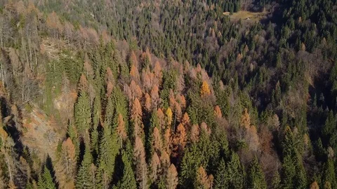 The colors of autumn Stock Footage 120830608
