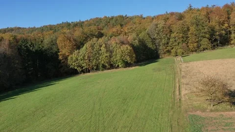 The colors of an autumn forest Video stock 163824727