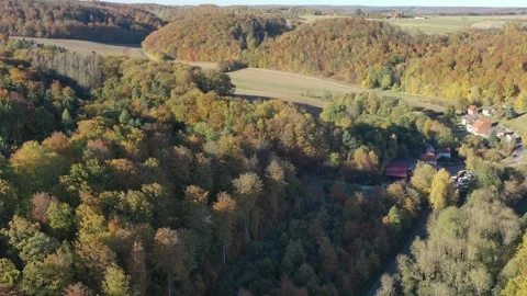 The colors of an autumn forest Video stock 163827374