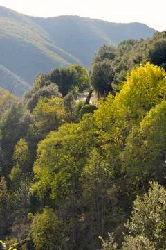 Colors of the autumn Stock Photos