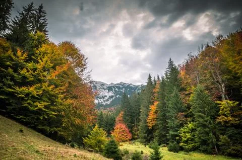 The colors of autumn. Stock Photos