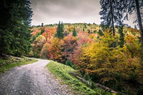 The colors of autumn. Stock Photos
