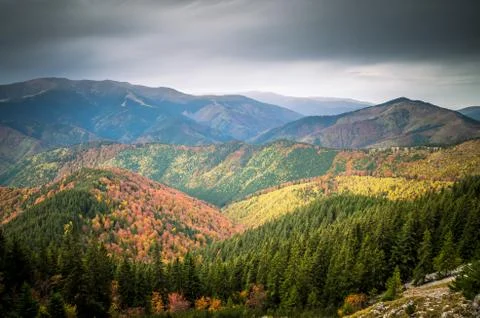 The colors of autumn. Foto stock