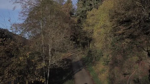 The Colors of the Black Forest Stock Footage 48016483