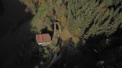 The Colors of the Black Forest Stock Footage 48016506