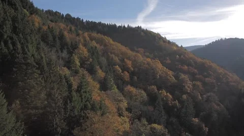 The Colors of the Black Forest Stock Footage 48016522