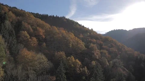 The Colors of the Black Forest Stock Footage 48016559