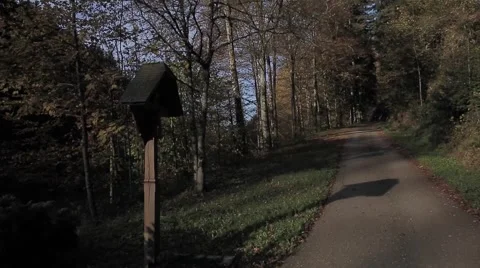 The Colors of the Black Forest Stock Footage 48016600