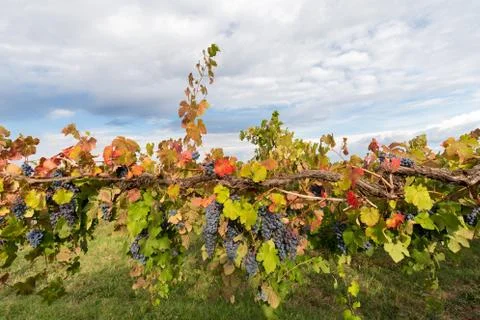 Colors to the clouds Stock Photos