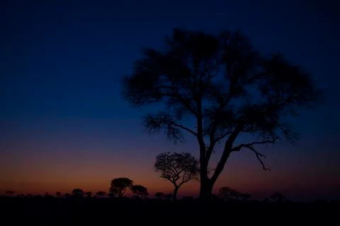 Colors of dusk Stock Photos