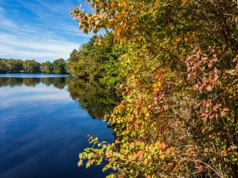 Colors of the early fall Stock Photos
