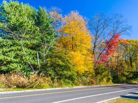 Colors of the fall foliage Stock Photos