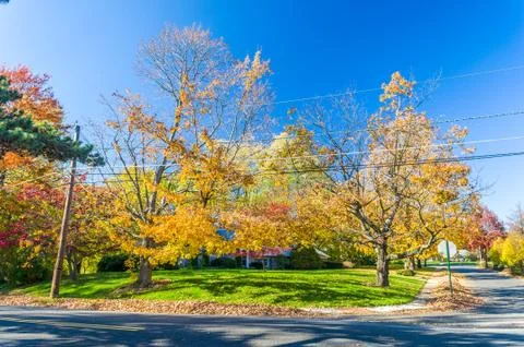 Colors of the fall foliage Stock Photos