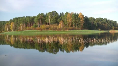 Colors of fall Stock Footage
