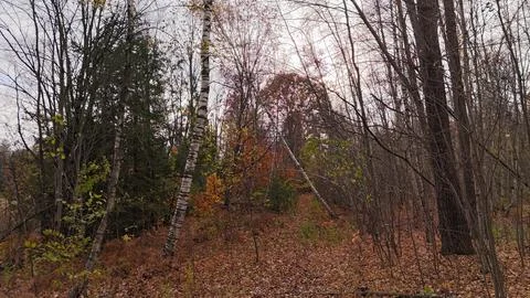 Colors in the Fall - October 20 Foto stock