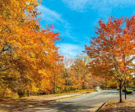 Colors of the fall Stock Photos